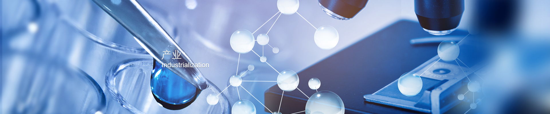 jxf���鷻(�й�)�ٷ���վ